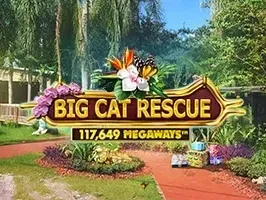 Big Cat Rescue Megaways DNT game thumbnail